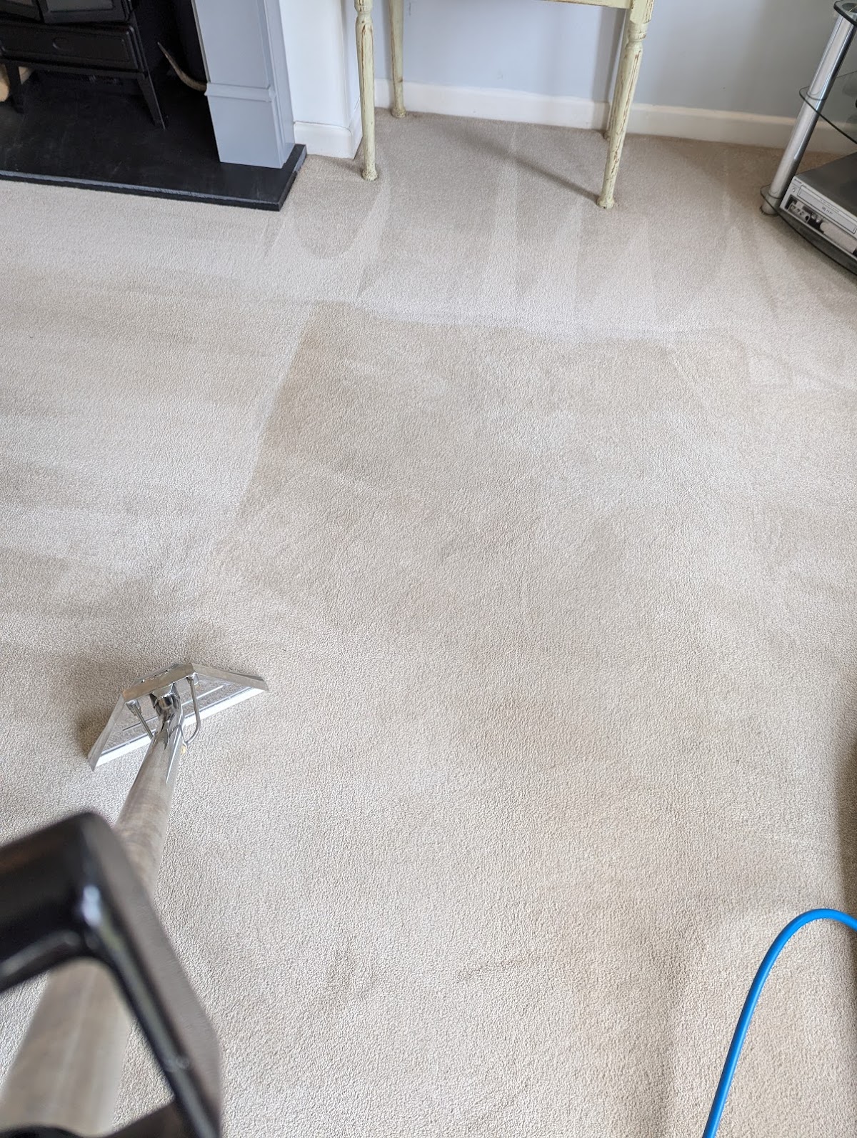 Carpet being cleaned with hot water extraction, showing the freshly cleaned stripe